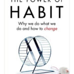 The Power Of Habit By Charles Duhigg